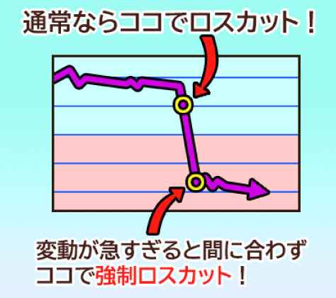 FXのロスカットが間に合わないと大損する