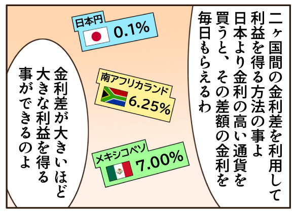 FXは少額投資ができるだけでなく毎日金利差収入が得られる